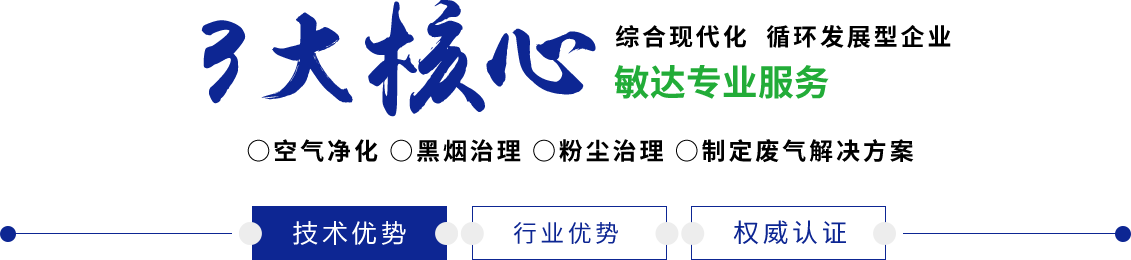 骚逼让我捅敏达环保科技（嘉兴）有限公司